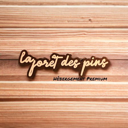 La Foret Des Pins - Free Check-In - Wifi - Parking Prive - Netflix - Draps & Serviettes Inclus Лабенн Экстерьер фото