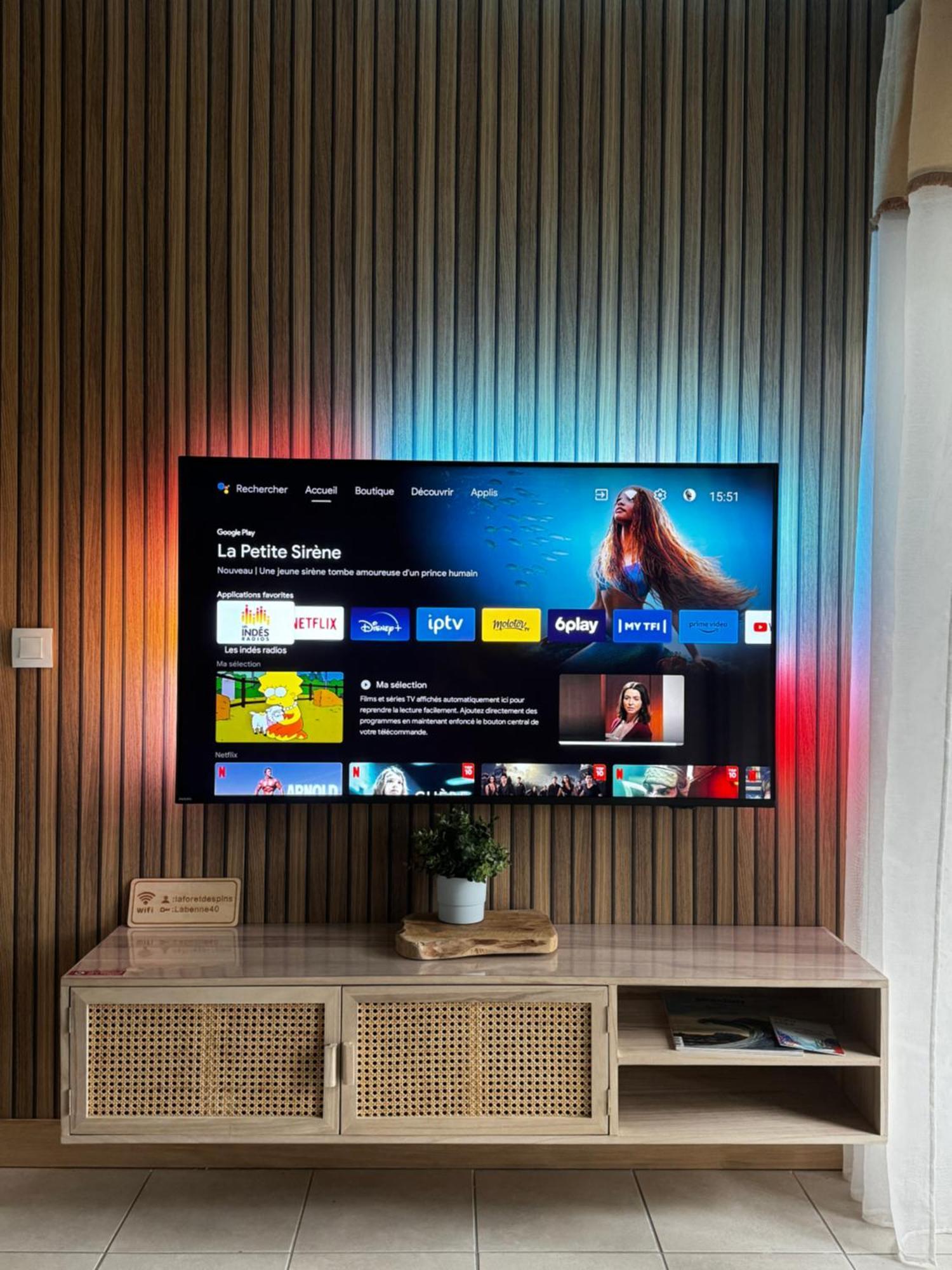La Foret Des Pins - Free Check-In - Wifi - Parking Prive - Netflix - Draps & Serviettes Inclus Лабенн Экстерьер фото