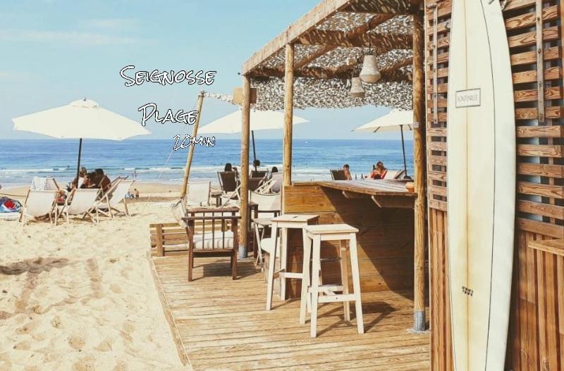 La Foret Des Pins - Free Check-In - Wifi - Parking Prive - Netflix - Draps & Serviettes Inclus Лабенн Экстерьер фото