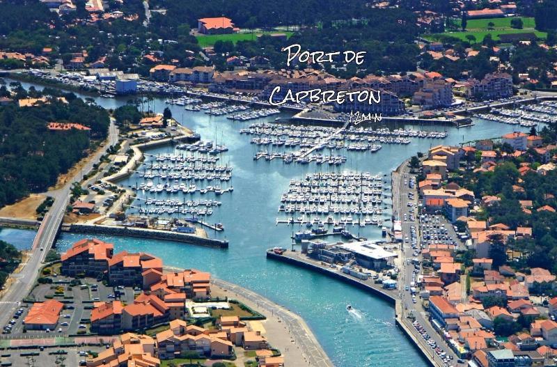 La Foret Des Pins - Free Check-In - Wifi - Parking Prive - Netflix - Draps & Serviettes Inclus Лабенн Экстерьер фото